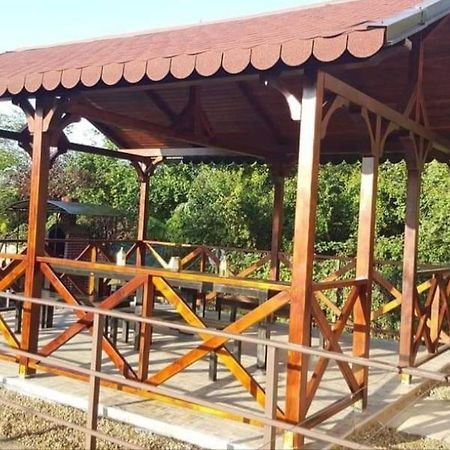 Pensiunea Coca Băile Felix Екстериор снимка