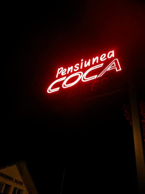 Pensiunea Coca Băile Felix Екстериор снимка