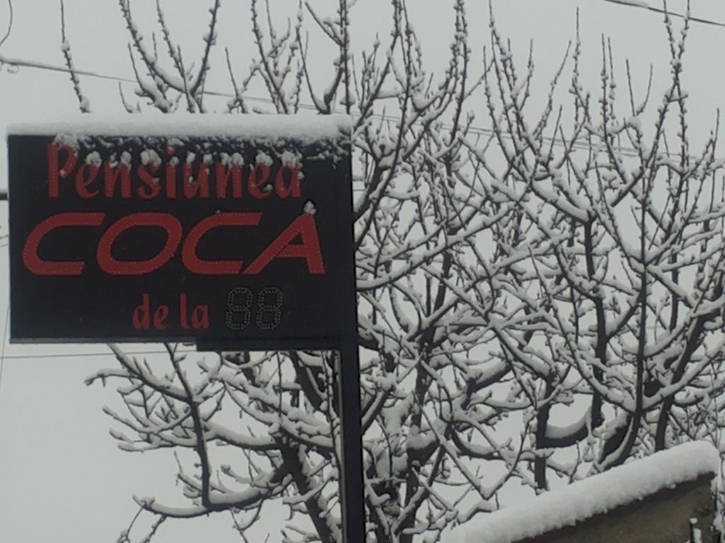 Pensiunea Coca Băile Felix Екстериор снимка